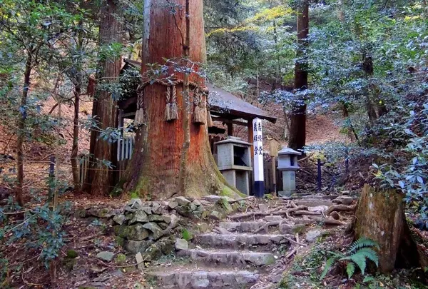 鞍馬山の写真・動画_image_58411