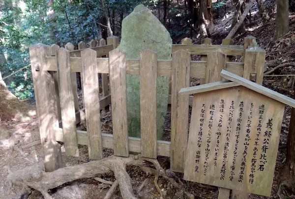 鞍馬山の写真・動画_image_58413