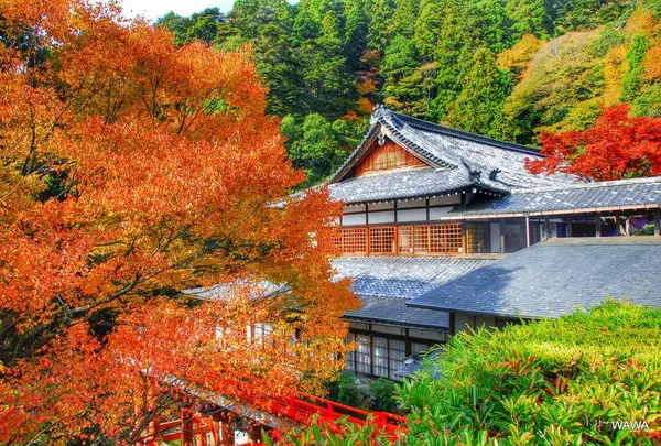 鞍馬寺の紅葉