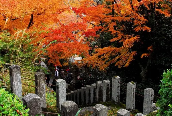 鞍馬寺の紅葉