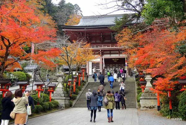 鞍馬寺 山門