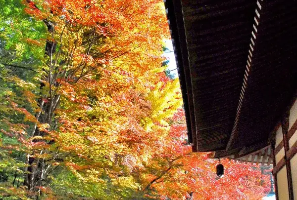 醍醐寺 観音堂
