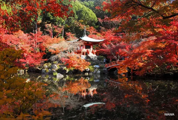醍醐寺 弁天池