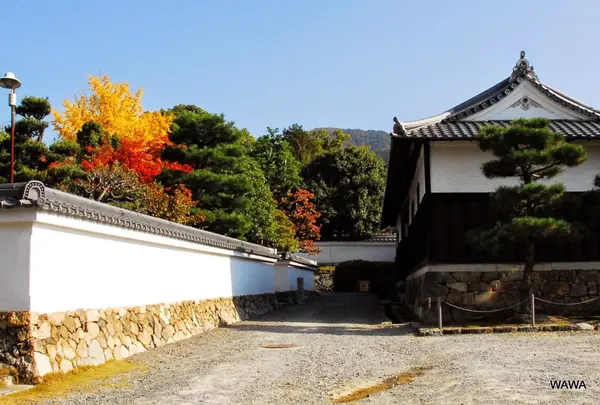 随心院