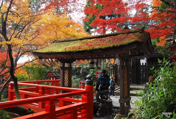 鞍馬寺への参道