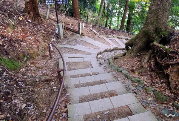 鞍馬山の写真・動画_image_58613