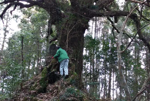 満願寺の写真・動画_image_58772