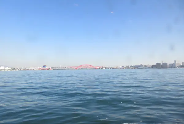 ナイトクルーズ