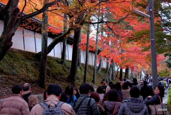 東福寺駅から東福寺