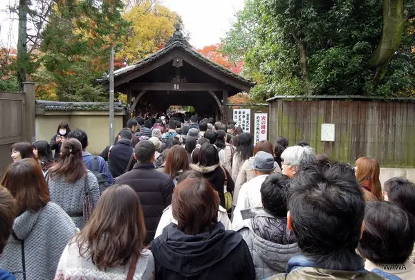 東福寺の臥雲橋