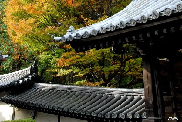 東福寺境内