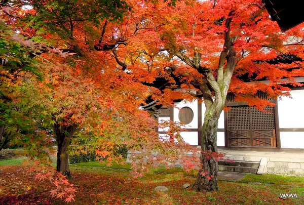 東福寺境内