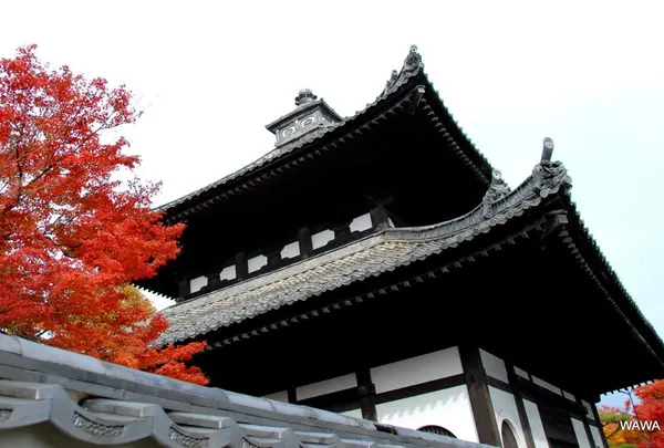 東福寺 経蔵