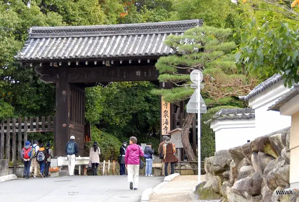 泉涌寺 総門