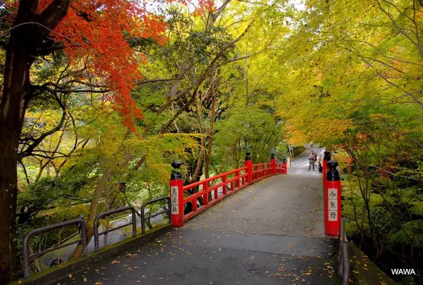 鳥居橋 今熊野観音寺