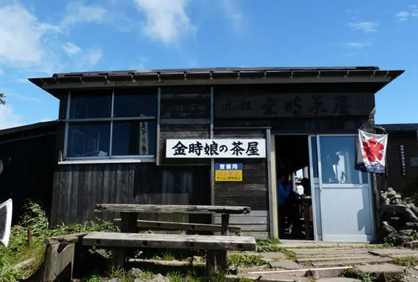 金時山山頂の写真・動画_image_5901