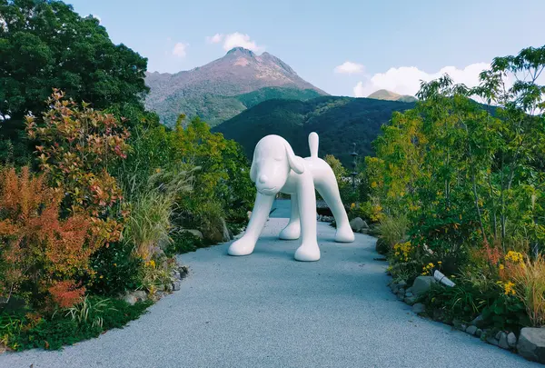 COMICO ART MUSEUM YUFUINの写真・動画_image_590488