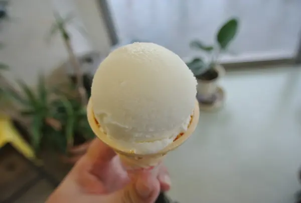 意外とはまる？？うどんアイス