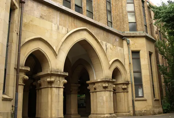 東京大学の写真・動画_image_5919