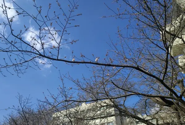 キャンパス内⑤