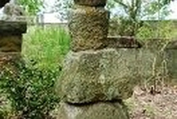 福昌寺の写真・動画_image_59265