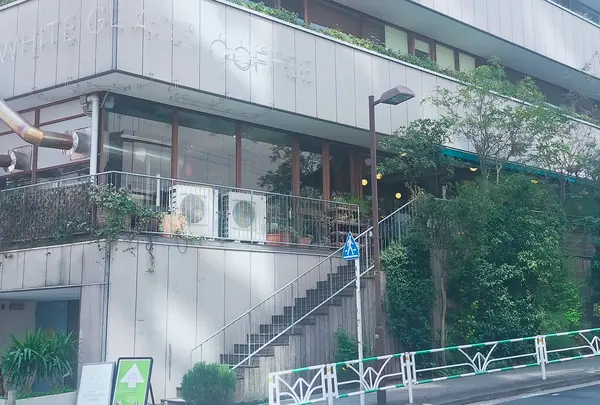 WHITE GLASS COFFEE（ホワイト グラス コーヒー）の写真・動画_image_594104