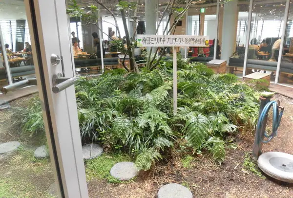 梅田ミツバチプロジェクト茶屋町養蜂場