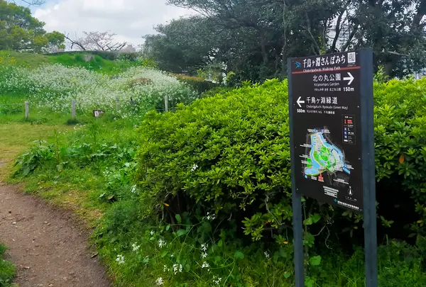 千鳥ケ淵緑道