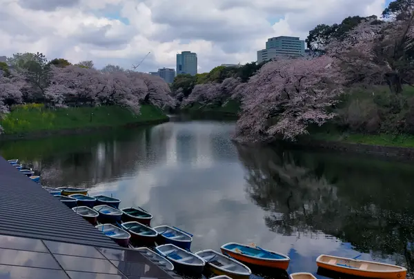 千鳥ケ淵ボート場