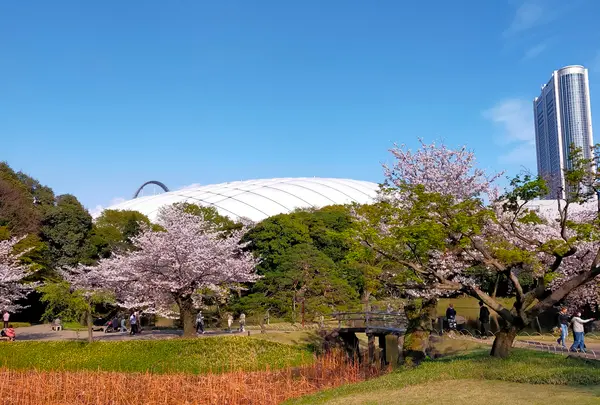 東京ドーム
