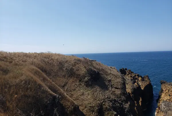 青い海広がる