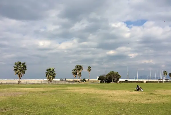美しい芝生の向こうが海