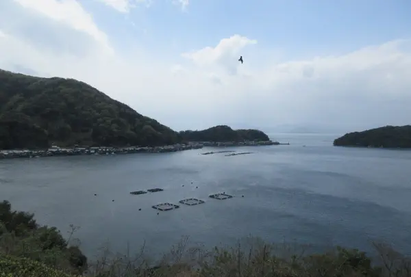 伊根湾（若狭湾）