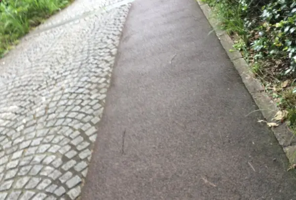 緑地内の道はしっかりとベビーカー用になっている。