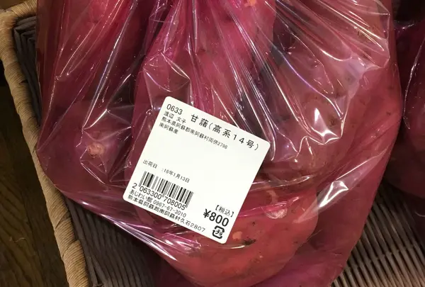 サツマイモ