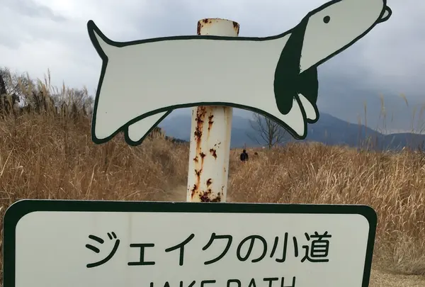 メルヘンな世界