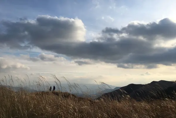 雲とススキ