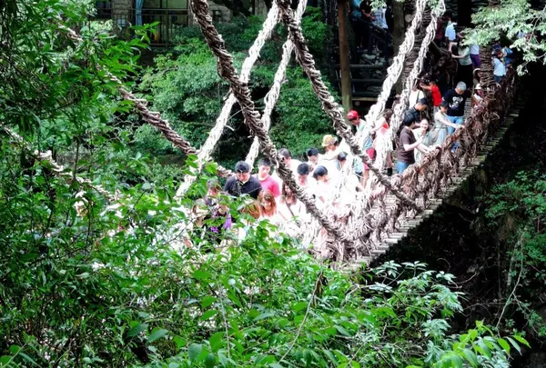 祖谷のかずら橋