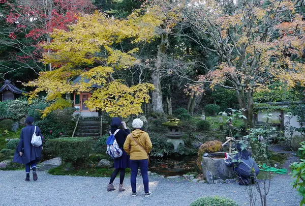 新善光寺の写真・動画_image_60379