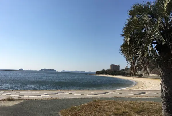 三河大島やヨットはよく見えます。