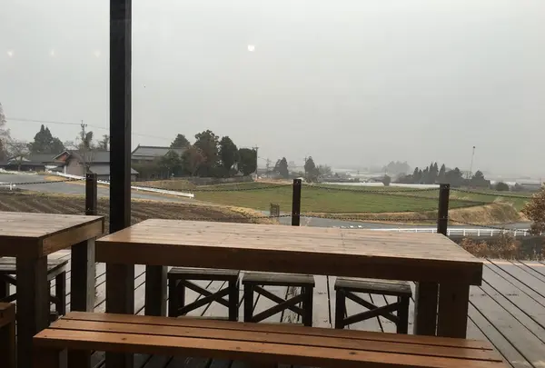 雪だ
