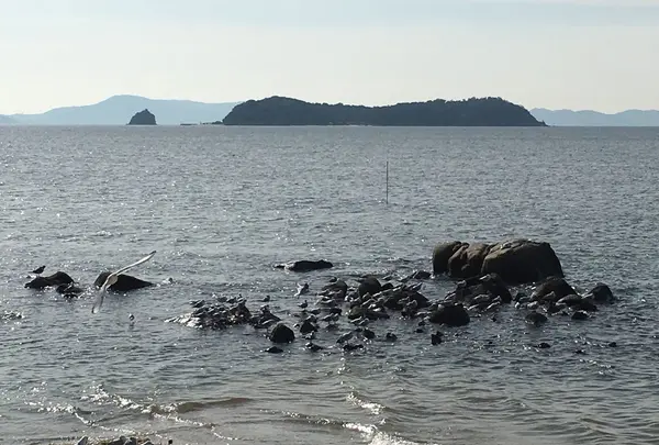 遊歩道を西へ進みます。