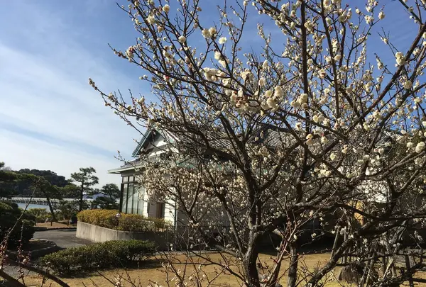 庭園から
