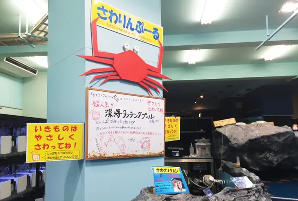 さわりんぷーる