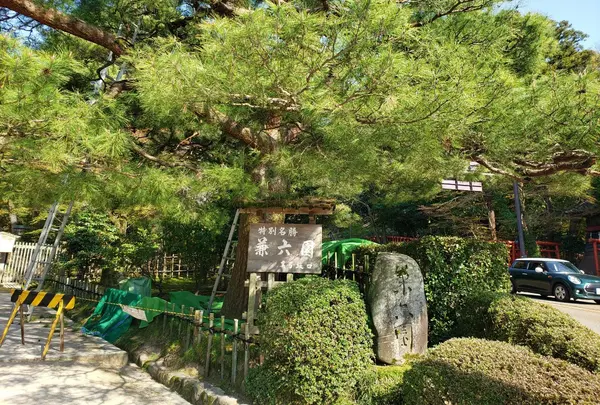 出入口は沢山