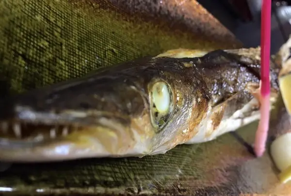 焼き魚