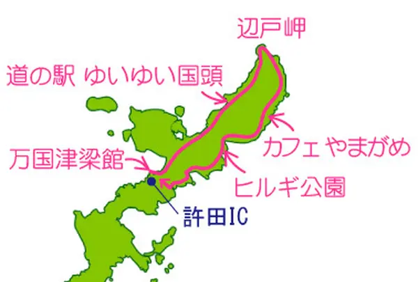 東村ふれあいヒルギ公園の写真・動画_image_6110