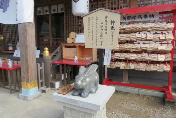 兎と龍