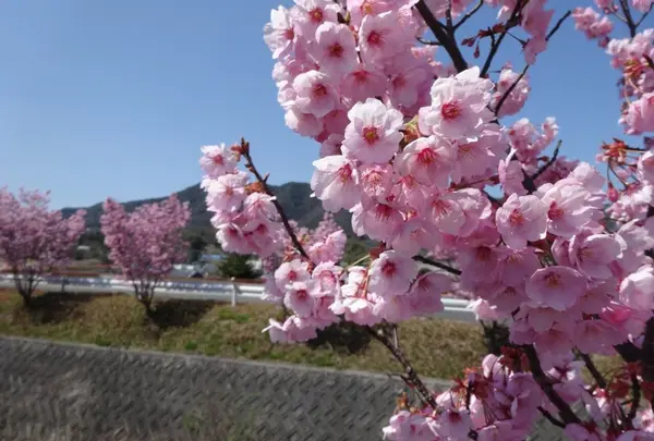 春の訪れ