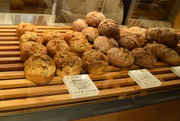 365日の写真・動画_image_61238